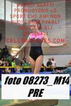 08273_M14-PRE