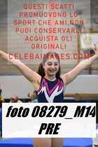 08279_M14-PRE