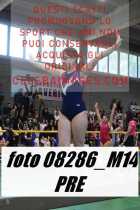 08286_M14-PRE