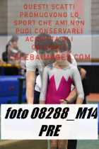 08288_M14-PRE