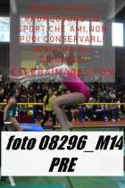 08296_M14-PRE