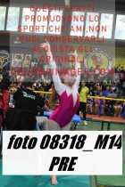 08318_M14-PRE