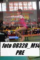 08328_M14-PRE