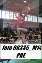 08335_M14-PRE