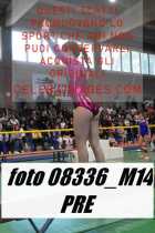 08336_M14-PRE