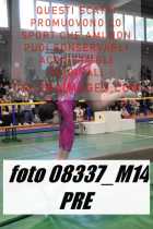 08337_M14-PRE