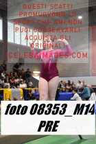 08353_M14-PRE
