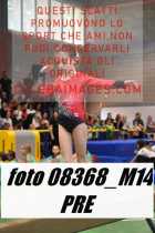 08368_M14-PRE