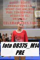 08375_M14-PRE