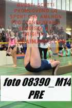 08390_M14-PRE