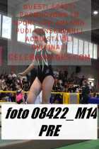 08422_M14-PRE