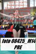 08425_M14-PRE