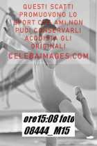 08444_M15-