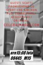 08445_M15-