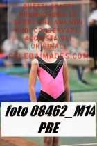 08462_M14-PRE