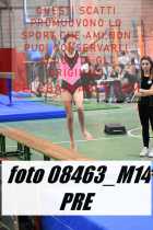 08463_M14-PRE