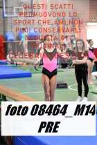 08464_M14-PRE
