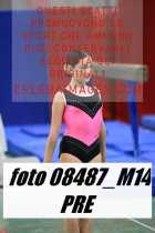 08487_M14-PRE