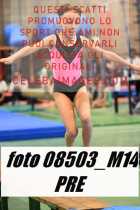 08503_M14-PRE