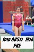 08511_M14-PRE