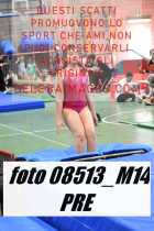 08513_M14-PRE