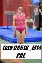 08518_M14-PRE