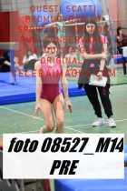 08527_M14-PRE