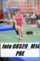 08529_M14-PRE