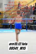 08541_M15-
