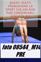 08544_M14-PRE