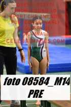 08584_M14-PRE