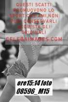 08596_M15-