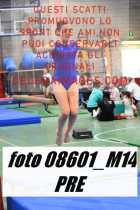 08601_M14-PRE
