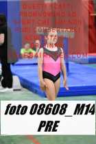 08608_M14-PRE