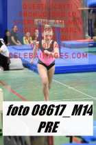 08617_M14-PRE
