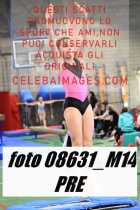 08631_M14-PRE