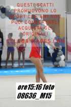 08636_M15-