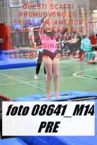 08641_M14-PRE