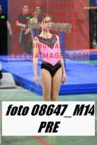 08647_M14-PRE