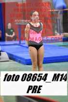 08654_M14-PRE