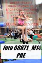 08671_M14-PRE