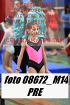 08672_M14-PRE
