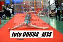 08684_M14-