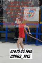 08803_M15-