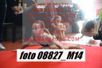 08827_M14-