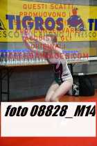 08828_M14-