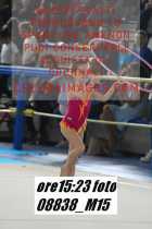 08838_M15-