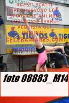 08883_M14-