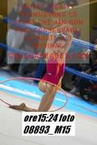 08893_M15-