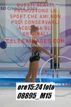 08895_M15-
